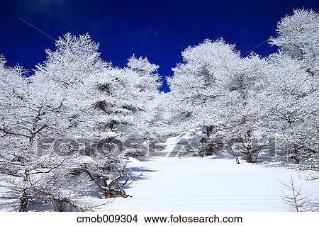 Nagano Prefecture, Japan View Large Photo Image Picture - Nagano Prefecture, Japan. Fotosearch