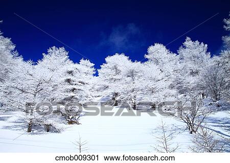 Nagano Prefecture, Japan View Large Photo Image Stock Image - Nagano Prefecture, Japan. Fotosearch