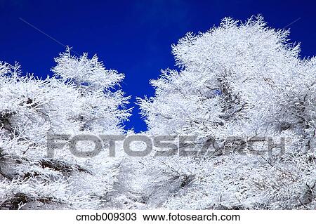 Nagano Prefecture, Japan View Large Photo Image Stock Image - Nagano Prefecture, Japan. Fotosearch