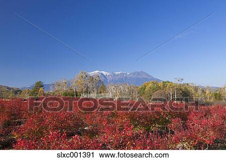 Stock Image - Nagano Prefecture, Japan. Fotosearch