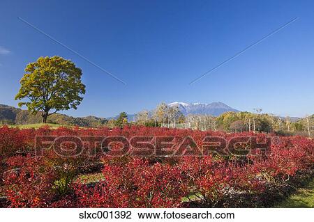 Nagano Prefecture, Japan View Large Photo Image Stock Image - Nagano Prefecture, Japan. Fotosearch