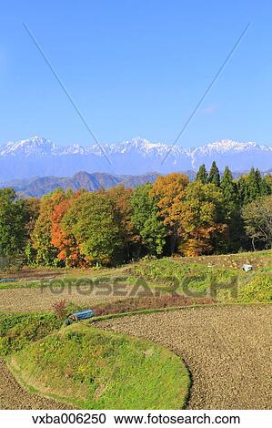Nagano Prefecture, Japan View Large Photo Image Stock Image - Nagano Prefecture, Japan. Fotosearch