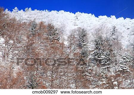 Stock Photo - Nagano Prefecture, Japan. Fotosearch