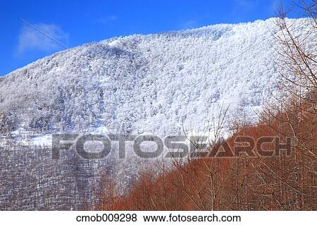 Nagano Prefecture, Japan View Large Photo Image Stock Photo - Nagano Prefecture, Japan. Fotosearch