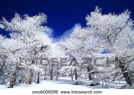 Nagano Prefecture, Japan View Large Photo Image Stock Photo - Nagano Prefecture, Japan. Fotosearch