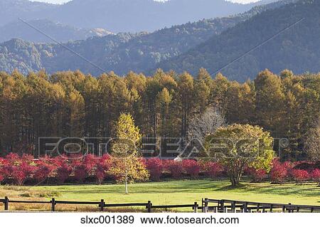 Nagano Prefecture, Japan View Large Photo Image Stock Photo - Nagano Prefecture, Japan. Fotosearch