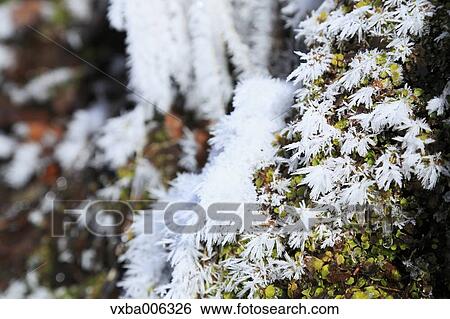 Stock Photograph - Nagano Prefecture, Japan. Fotosearch