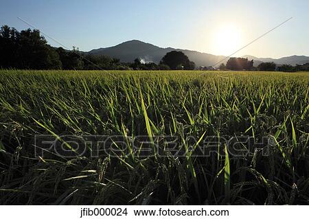 Nara Prefecture, Japan View Large Photo Image Picture - Nara Prefecture, Japan. Fotosearch