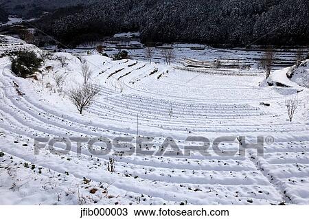 Nara Prefecture, Japan View Large Photo Image Stock Image - Nara Prefecture, Japan. Fotosearch