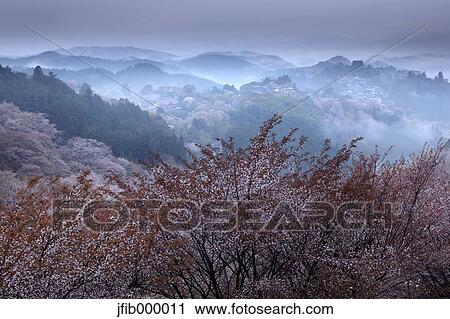 Nara Prefecture, Japan View Large Photo Image Stock Image - Nara Prefecture, Japan. Fotosearch