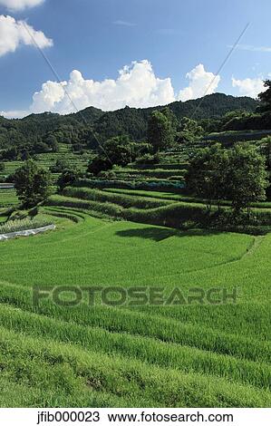Nara Prefecture, Japan View Large Photo Image Stock Image - Nara Prefecture, Japan. Fotosearch