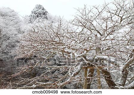 Nara Prefecture, Japan View Large Photo Image Stock Photo - Nara Prefecture, Japan. Fotosearch