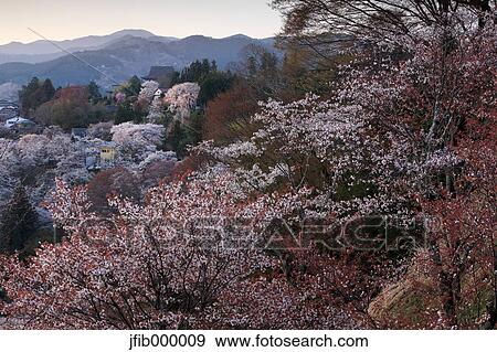 Nara Prefecture, Japan View Large Photo Image Stock Photo - Nara Prefecture, Japan. Fotosearch