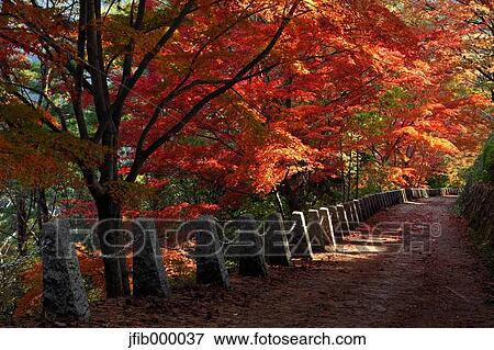 Nara Prefecture, Japan View Large Photo Image Stock Photo - Nara Prefecture, Japan. Fotosearch