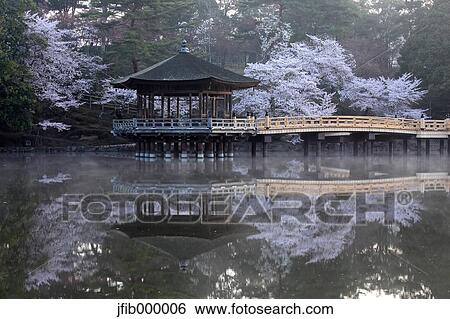 Nara Prefecture, Japan View Large Photo Image Stock Photograph - Nara Prefecture, Japan. Fotosearch