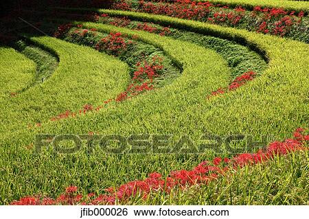 Stock Photograph - Nara Prefecture, Japan. Fotosearch
