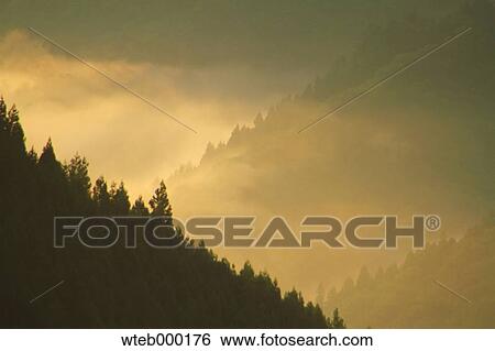Saitama Prefecture, Japan View Large Photo Image Stock Photograph - Saitama Prefecture, Japan. Fotosearch