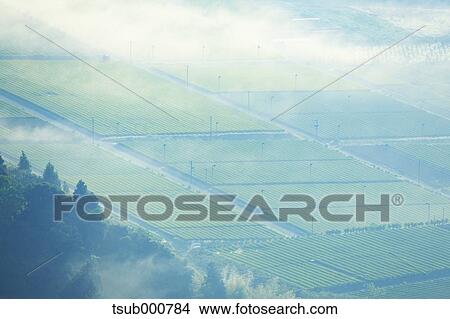 Picture - Shizuoka Prefecture, Japan. Fotosearch