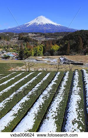 Shizuoka Prefecture, Japan View Large Photo Image Picture - Shizuoka Prefecture, Japan. Fotosearch