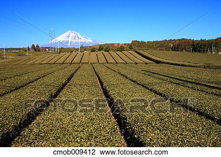 Shizuoka Prefecture, Japan View Large Photo Image Stock Image - Shizuoka Prefecture, Japan. Fotosearch