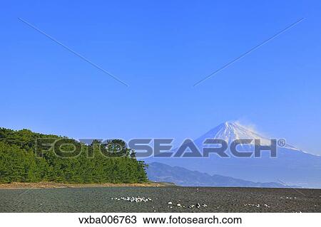Shizuoka Prefecture, Japan View Large Photo Image Stock Image - Shizuoka Prefecture, Japan. Fotosearch