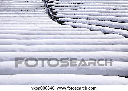 Shizuoka Prefecture, Japan View Large Photo Image Stock Image - Shizuoka Prefecture, Japan. Fotosearch