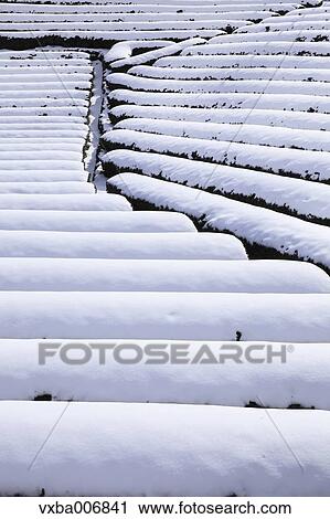Shizuoka Prefecture, Japan View Large Photo Image Stock Image - Shizuoka Prefecture, Japan. Fotosearch