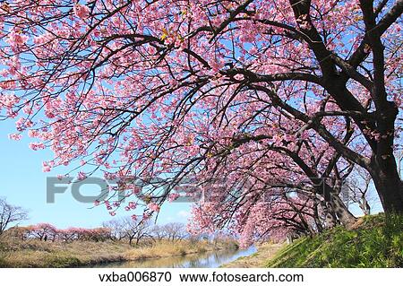 Shizuoka Prefecture, Japan View Large Photo Image Stock Image - Shizuoka Prefecture, Japan. Fotosearch
