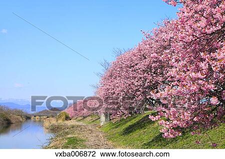 Shizuoka Prefecture, Japan View Large Photo Image Stock Image - Shizuoka Prefecture, Japan. Fotosearch