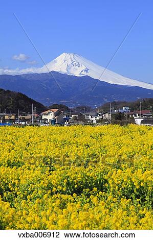 Stock Image - Shizuoka Prefecture, Japan. Fotosearch