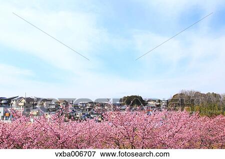 Stock Photo - Shizuoka Prefecture, Japan. Fotosearch