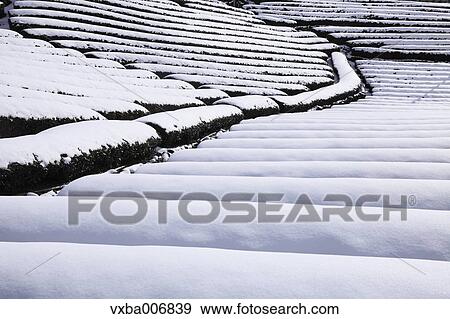 Shizuoka Prefecture, Japan View Large Photo Image Stock Photo - Shizuoka Prefecture, Japan. Fotosearch