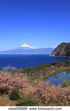 Shizuoka Prefecture, Japan View Large Photo Image Stock Photo - Shizuoka Prefecture, Japan. Fotosearch