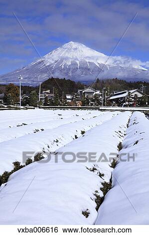 Shizuoka Prefecture, Japan View Large Photo Image Stock Photograph - Shizuoka Prefecture, Japan. Fotosearch