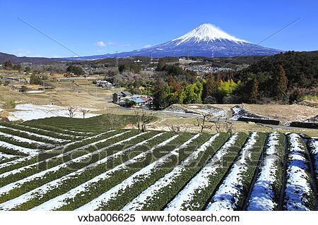 Shizuoka Prefecture, Japan View Large Photo Image Stock Photography - Shizuoka Prefecture, Japan. Fotosearch