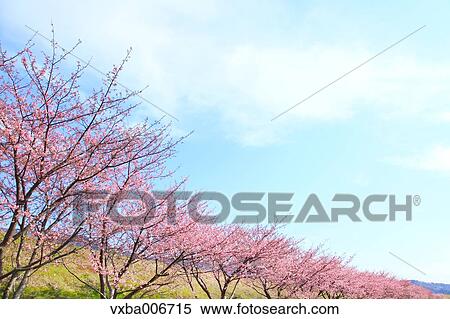 Stock Photography - Shizuoka Prefecture, Japan. Fotosearch