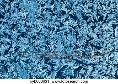 Snow Crystals Stock Image Iryb003631 Fotosearch