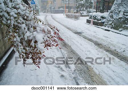 Snow in Tokyo, Japan View Large Photo Image Stock Image - Snow in Tokyo, Japan. Fotosearch