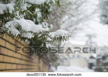 Snow in Tokyo, Japan View Large Photo Image Stock Photography - Snow in Tokyo, Japan. Fotosearch