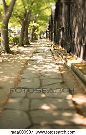 Stone paved walkway View Large Photo Image Stock Photo - Stone paved walkway. Fotosearch