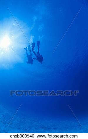 Stock Image - Underwater life. Fotosearch