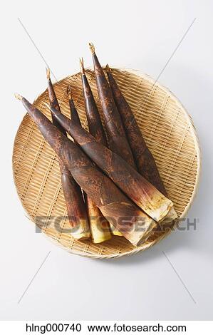 Bamboo Sprout View Large Photo Image Stock Image - Bamboo Sprout. Fotosearch