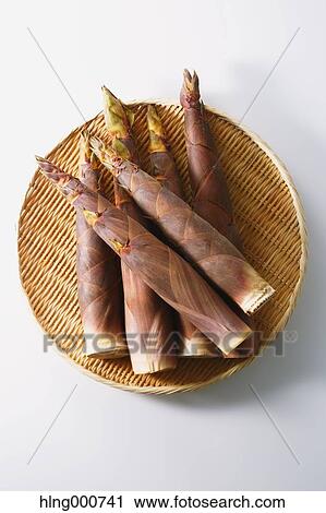 Bamboo Sprout View Large Photo Image Stock Image - Bamboo Sprout. Fotosearch