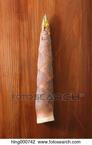 Bamboo Sprout View Large Photo Image Stock Image - Bamboo Sprout. Fotosearch