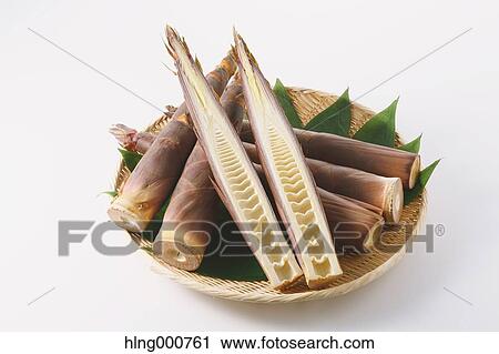 Bamboo Sprout View Large Photo Image Stock Image - Bamboo Sprout. Fotosearch