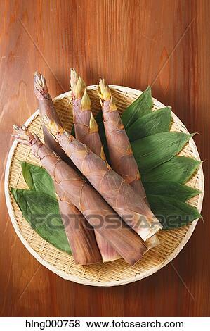 Bamboo Sprout View Large Photo Image Stock Photo - Bamboo Sprout. Fotosearch