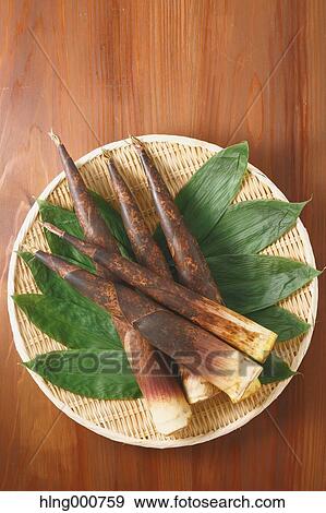 Stock Photo - Bamboo Sprout. Fotosearch