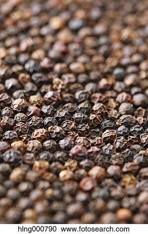 Black Pepper View Large Photo Image Stock Image - Black Pepper. Fotosearch