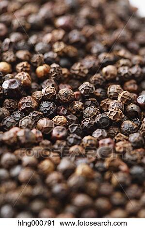 Black Pepper View Large Photo Image Stock Image - Black Pepper. Fotosearch