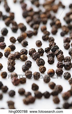 Black Pepper View Large Photo Image Stock Photo - Black Pepper. Fotosearch